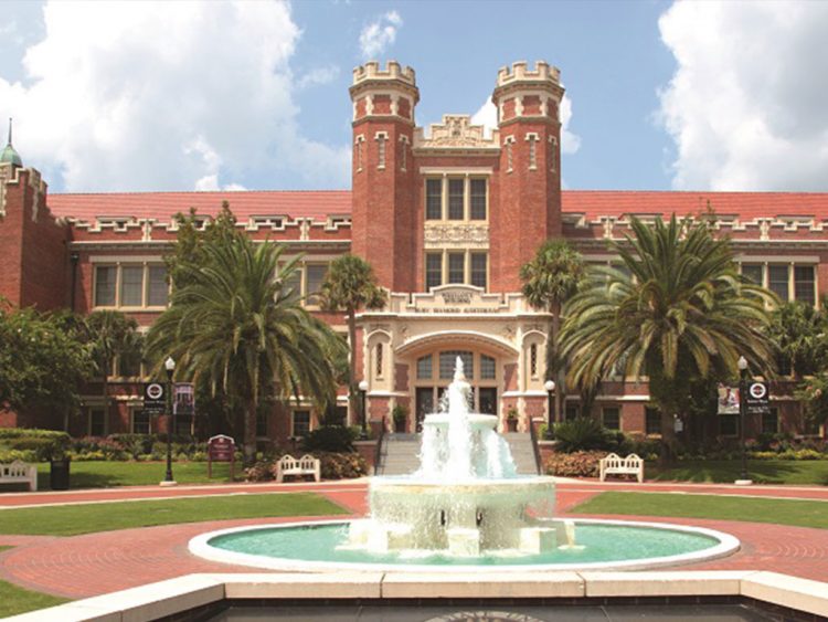 Academia